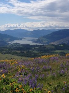 Columbia River Gorge before 2017 Eagle Creek fire and the ensuing fire support