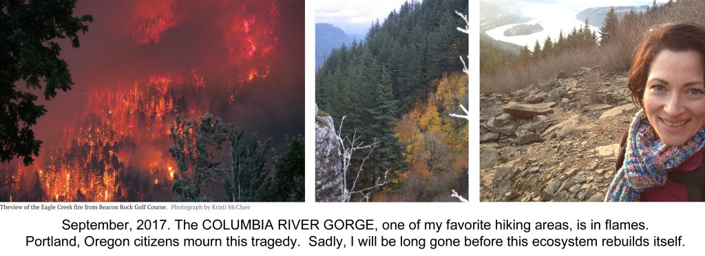 Columbia River Gorge hikes, Eagle Creek fire 2017, forest fire