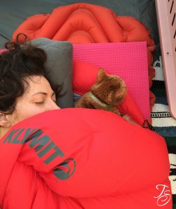 Sophie the camping cat travels like a champ during my cross-country roadtrip, Sew Like A Pro adventure