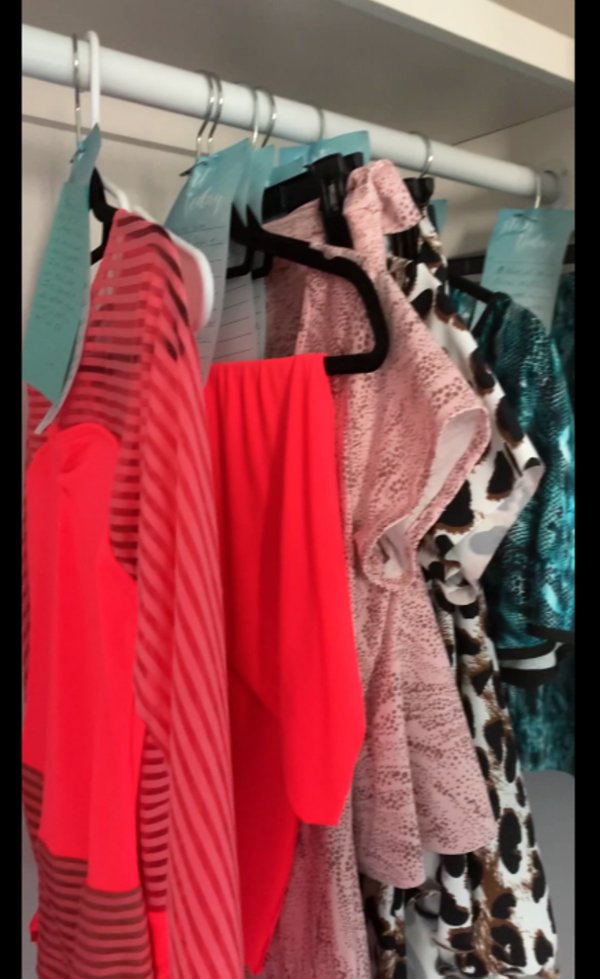 Carol's closet wiith ballroom dance practice wear