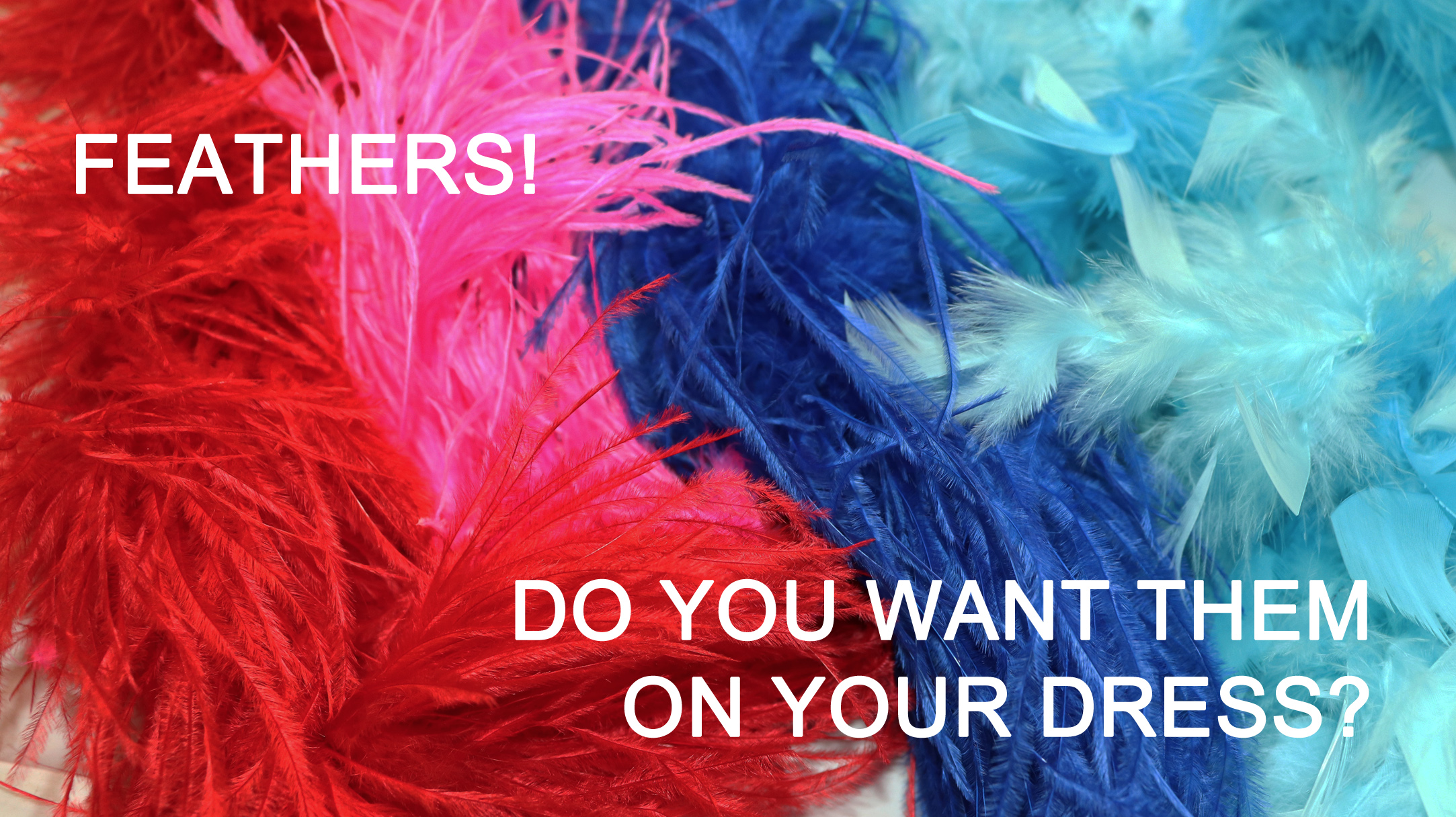 Feathers are hot in the Dancesport, Country and Skate world. Do you want them on your dress?