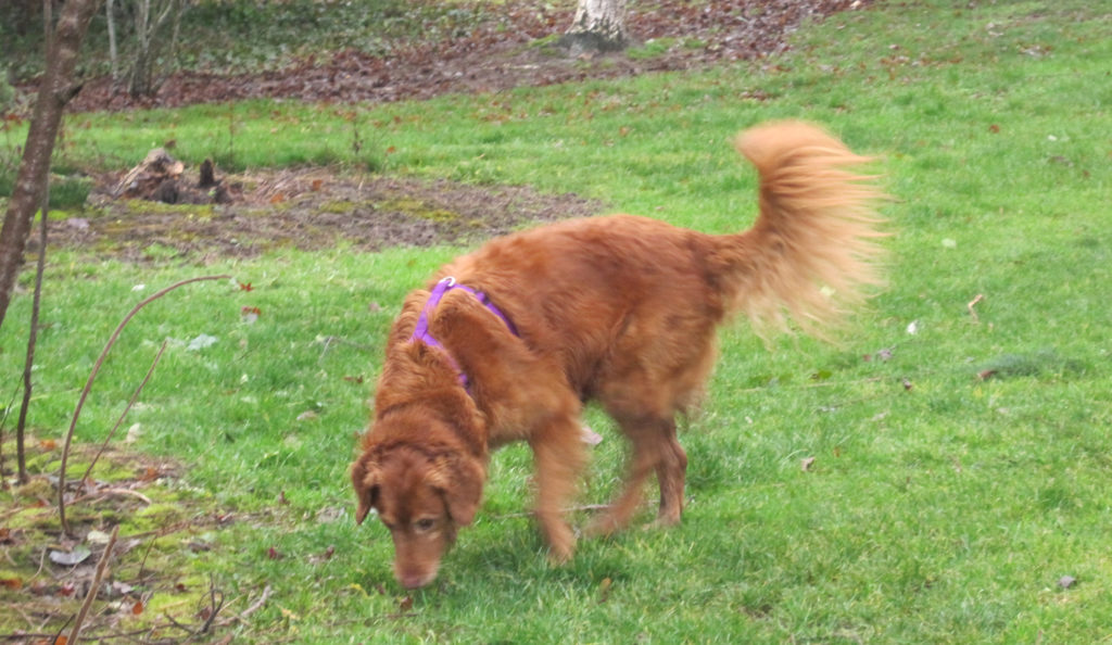 In this moment, Chelsey "Waggle Butt" Sigmon enjoys everything around her.