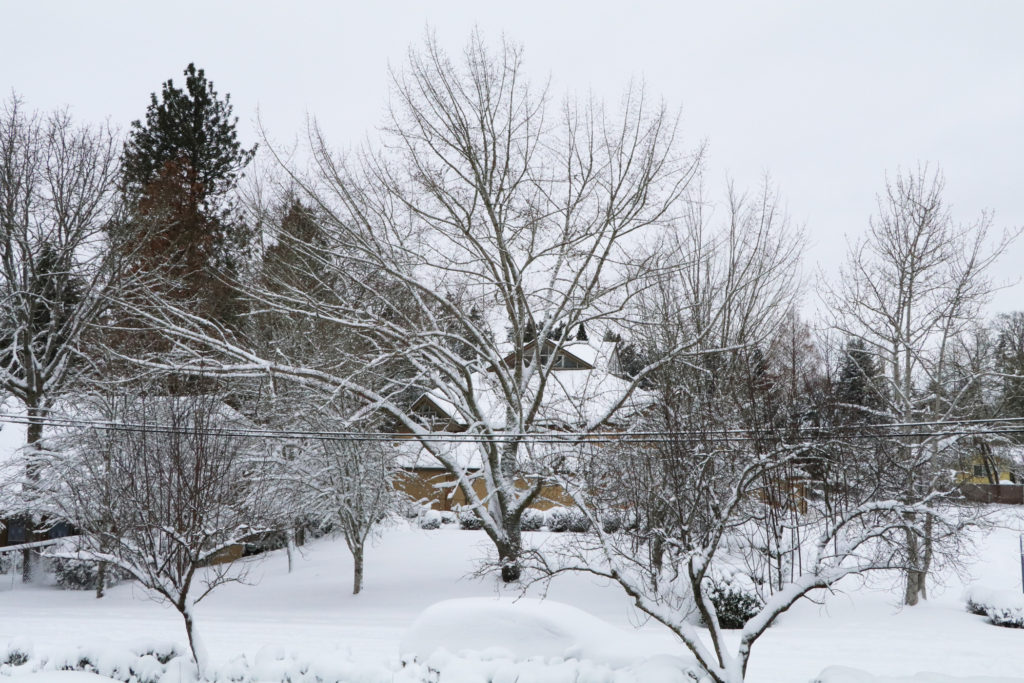 this moment snow blankets where I live